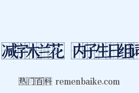 减字木兰花·内子生日组词是什么意思的图片